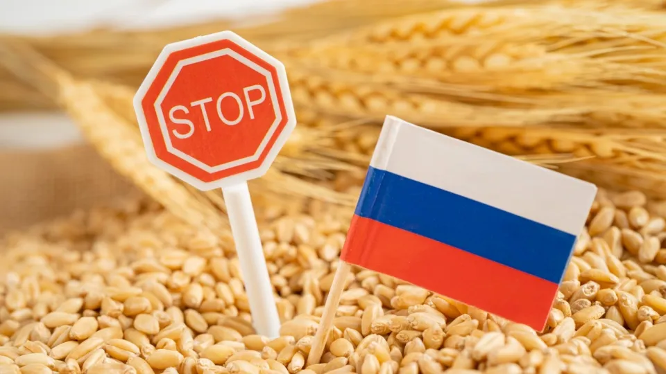Țările baltice solicită interzicerea tranzitului cerealelor rusești prin UE