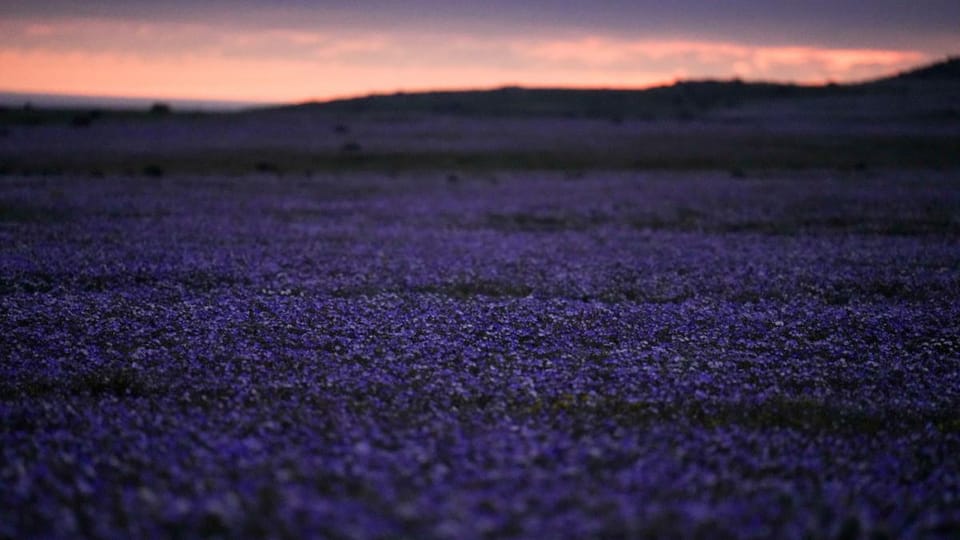 Transformarea peisajului în Deșertul Atacama