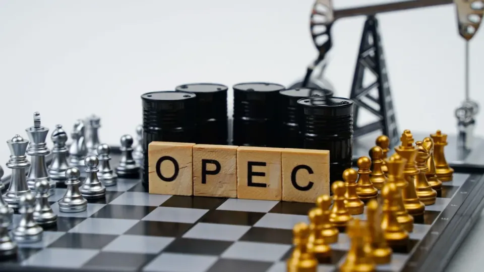 OPEC revizuiește prognoza privind cererea globală de petrol