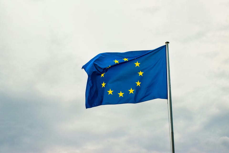 Propunerea Marinei Le Pen privind contribuția Franței la bugetul UE