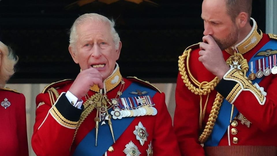 Tensiuni între Prinții William și Harry privind un documentar