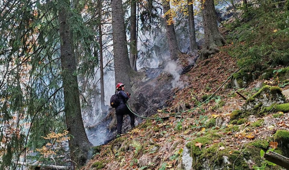 Intervenții pentru stingerea unui incendiu în Parcul Retezat