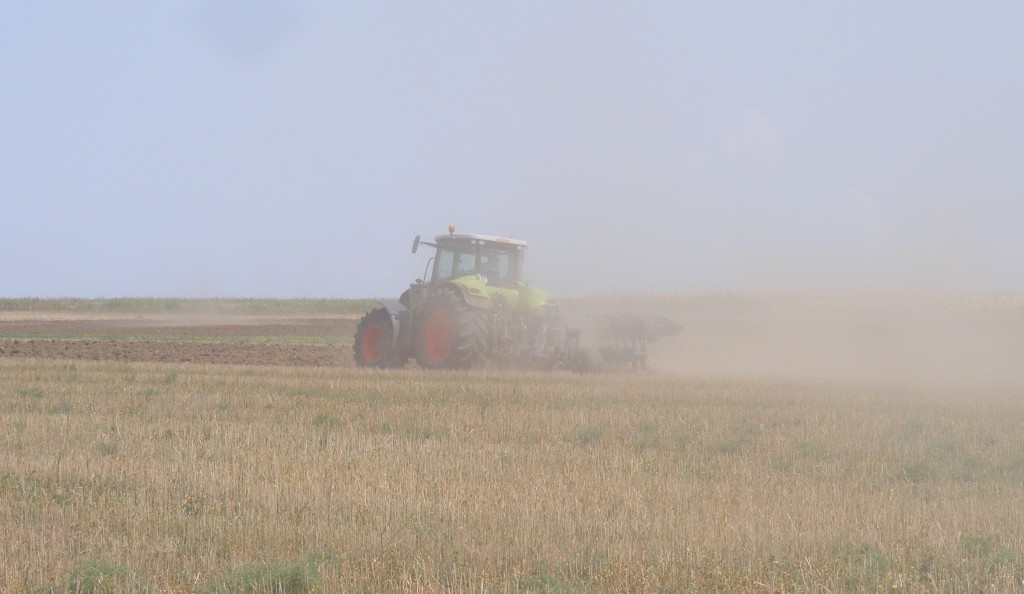 Terenurile agricole din Romania ii atrag ca un magnet pe investitorii straini