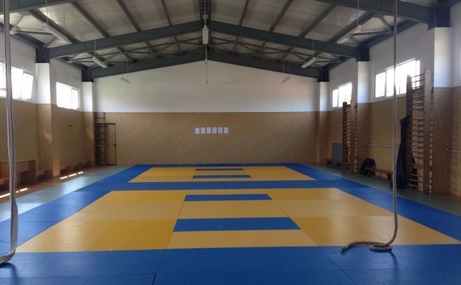 sala judo mircea eliade
