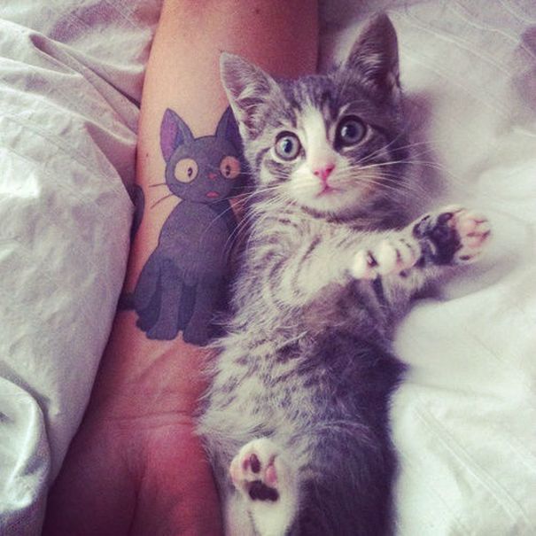 cat-tattoos162__605
