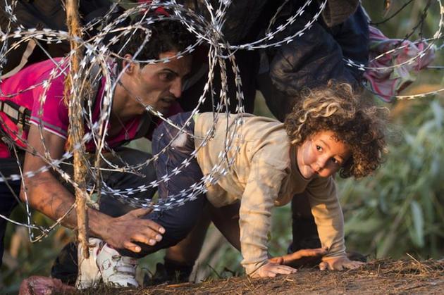 criza refugiati, camion migranti, camion inmatriculat romania, granita bulgaro-turca, deian mollov