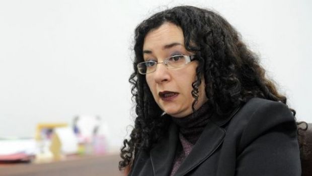 Oana Schmidt Hăineală, sef, corp control, ministerul justitiei