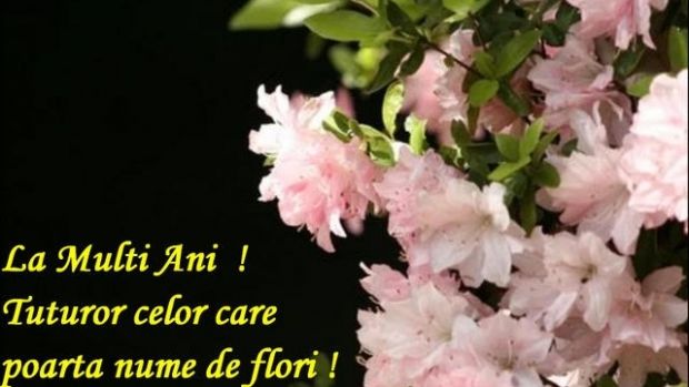mesaje de florii, urari florii, sms-uri florii, felicitari de florii, mesaje de florii, duminica floriilor