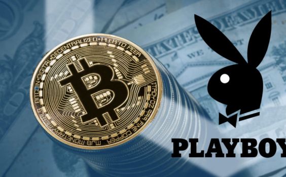 playboy, crypto monede, portofel, servicii online, plata crypto monede, playboy entreprises, token playboy, vit