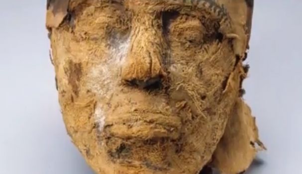 mumie, mister rezolvat, cercetatori, adn extras, 4000 ani