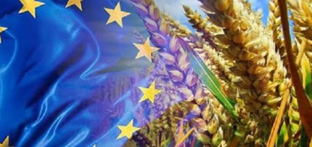 ramona manescu, europarlamentar ppe, politica agricola comuna, ue
