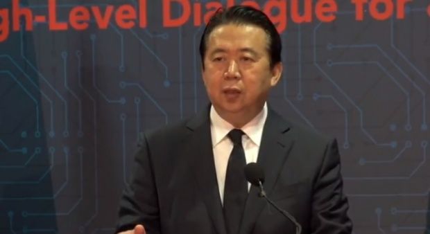 director interpol, meng hongwei, arestare preventiva, china