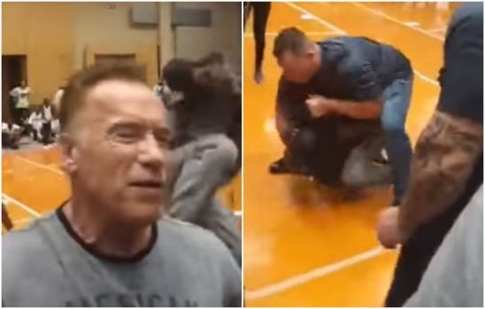 Arnold Schwarzenegger, agresiune, africa de sud, barbat, lovitură, video