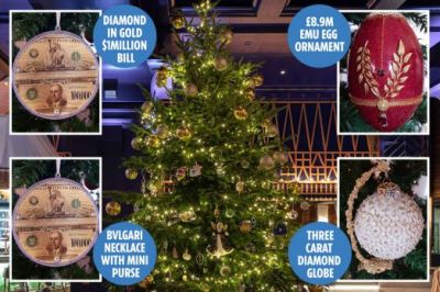 Christmas-tree-costing-£11.9-MILLION-revealed-as-world’s-most-expensive