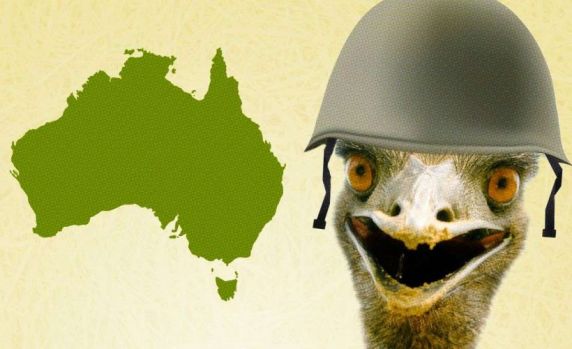 australia, armata, razboi, pasari emu, infrangere