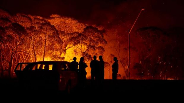 australia, incendii, piromani, suspecti, arestare, incendii vegetatie