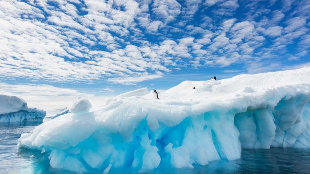antarctica, incalzire globala, temperaturi record, ingrijorare, poluare